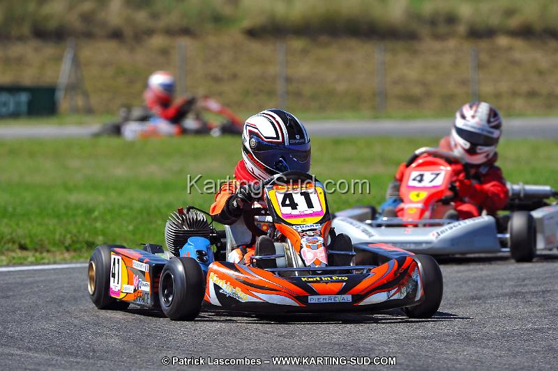 DSC_ (1531).jpg